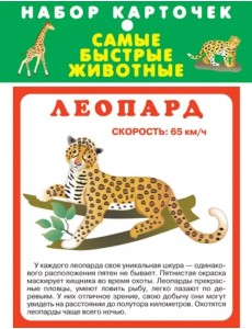 Набор карточек. Самые быстрые животные Набор карточек. Самые быстрые животные