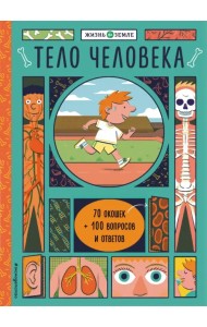 Тело человека (с окошками)