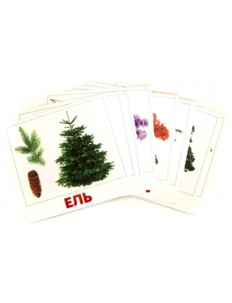 Комплект карточек "Деревья"