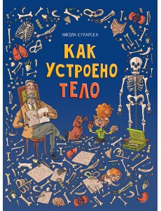 Как устроено тело Как устроено тело