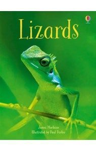 Lizards