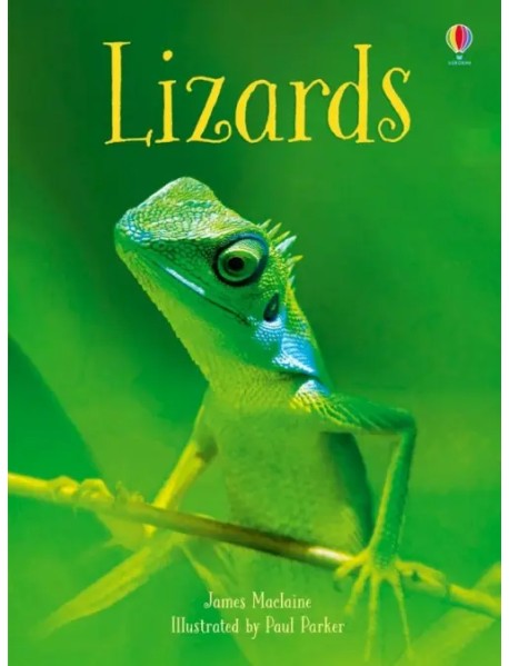 Lizards