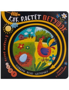Как растет петушок
