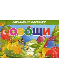 Овощи. Обучающие карточки
