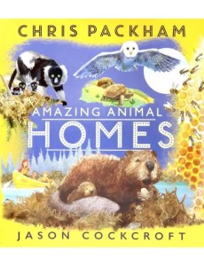 Amazing Animal Homes Amazing Animal Homes