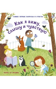 40 окошек. Как я вижу, слышу и чувствую