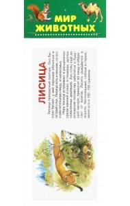 Набор карточек. Мир животных