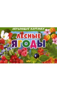 Лесные ягоды. Обучающие карточки