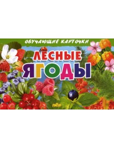 Лесные ягоды. Обучающие карточки Лесные ягоды. Обучающие карточки