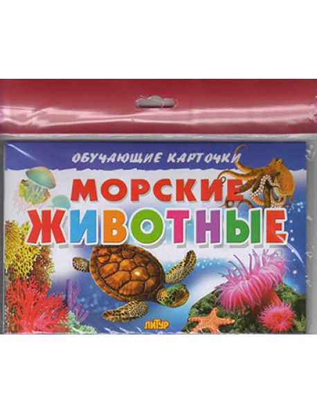Морские животные