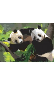 Картина по номерам с акриловыми красками. Панды, А3
