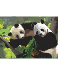 Картина по номерам с акриловыми красками. Панды, А3