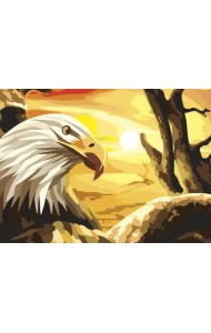 Картина по номерам с акриловыми красками. Орел, А3