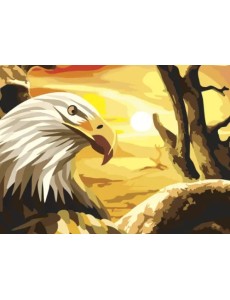 Картина по номерам с акриловыми красками. Орел, А3 Картина по номерам с акриловыми красками. Орел, А3