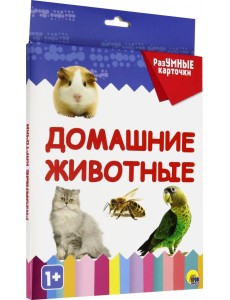 Разумные карточки. Домашние животные Разумные карточки. Домашние животные