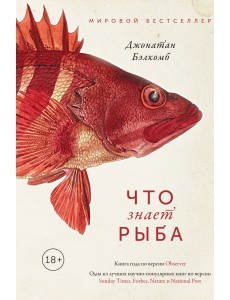 Что знает рыба