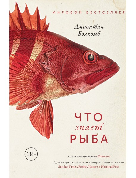 Что знает рыба