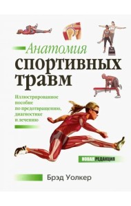 Анатомия спортивных травм