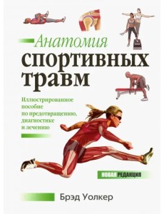 Анатомия спортивных травм