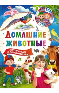 Домашние животные