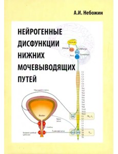 Нейрогенные дисфункции нижних мочевыводящих путей