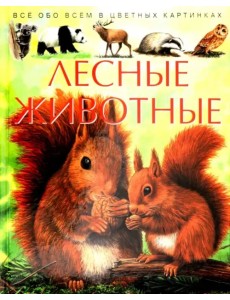 Лесные животные. Детская энциклопедия Лесные животные. Детская энциклопедия