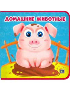 Книжка на пене. Домашние животные