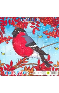 Пазл. Птицы. Снегирь, 9 элементов