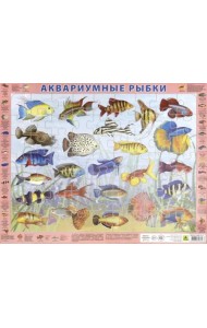 Пазл. Аквариумные рыбки, 63 элемента