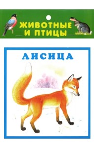 Животные и птицы. 20 карточек