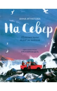 На Север. Путешествие вслед за чайкой