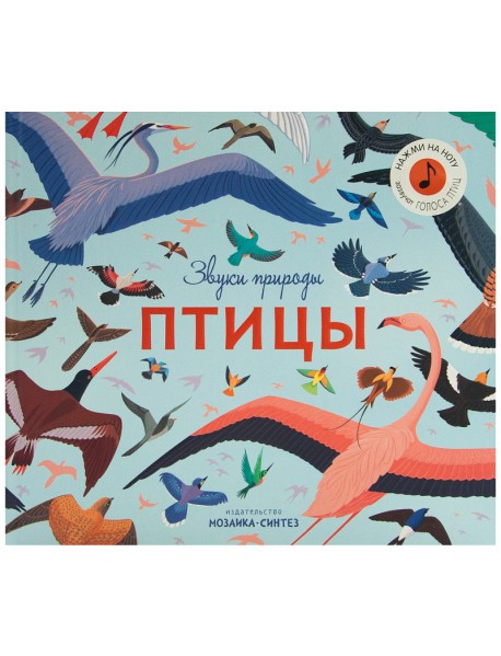 Звуки природы. Птицы
