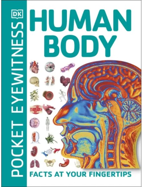 Human Body. Facts at Your Fingertips