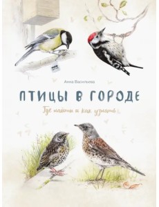 Птицы в городе. Где найти и как узнать Птицы в городе. Где найти и как узнать