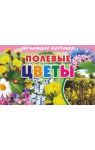 Обучающие карточки. Полевые цветы