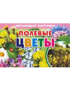 Обучающие карточки. Полевые цветы