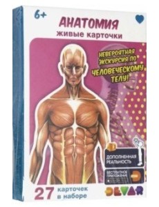 Живые карточки "Анатомия"