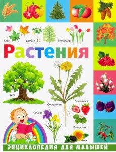 Растения