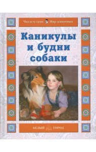 Каникулы и будни собаки