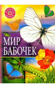 Мир бабочек