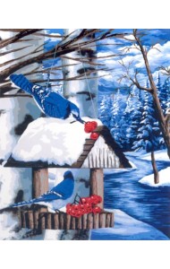 Набор для рисования по номерам. на холсте. Птичья кормушка, 50х40 см