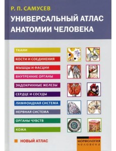 Универсальный атлас анатомии человека. Учебное пособие для студентов медицинских учебных заведений