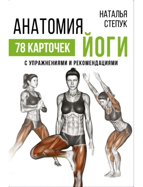 Анатомия йоги