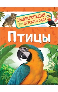 Птицы. Энциклопедия для детского сада