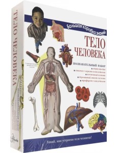 Познавательный набор. Тело человека Познавательный набор. Тело человека
