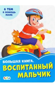 Большая книга. Воспитанный мальчик