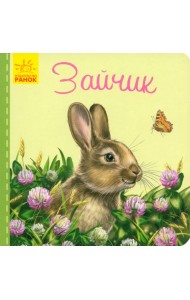 Милые зверята. Зайчик