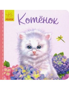 Милые зверята. Котёнок Милые зверята. Котёнок