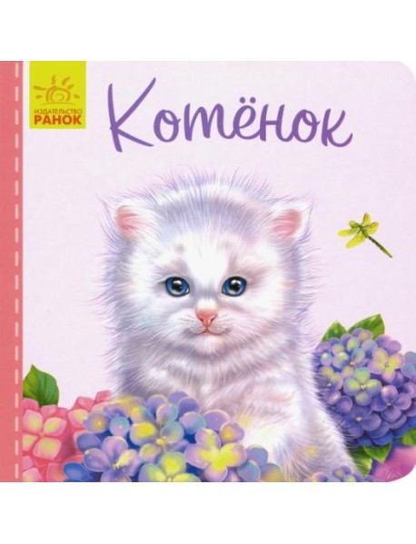 Милые зверята. Котёнок