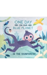 One Day On Our Blue Planet: In The Rainforest
